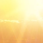 PEC- Programa de Eficiência de carcaça: há 3 anos impulsionando a pecuária nacional!