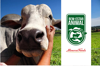 5 pilares que garantem o Bem-Estar dos animais na Minerva Foods