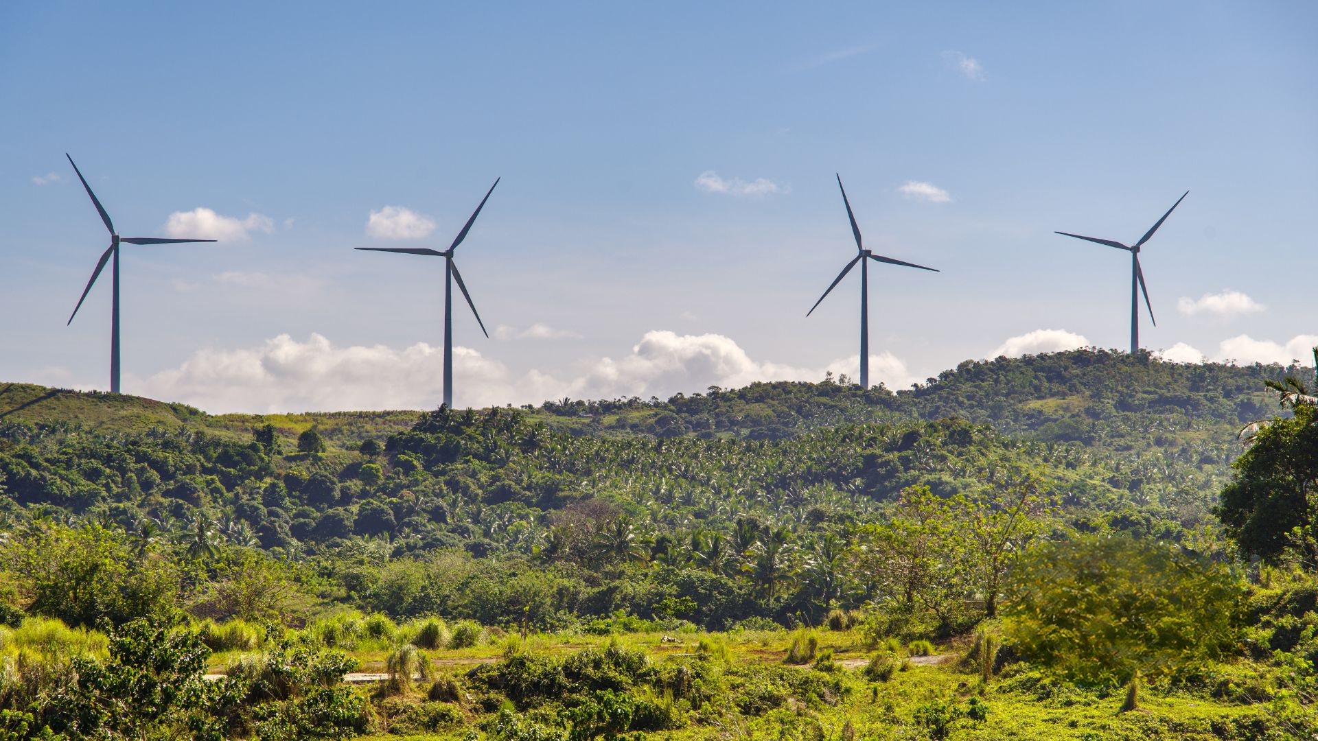 Minerva Energia firma parceria com o Instituto Totum para comercialização do Selo I-REC