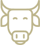 Ícone 7