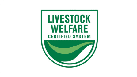 ISO 14001 – PT