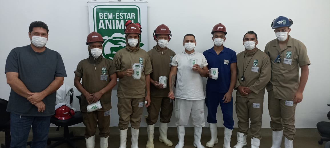 Treinamento 2