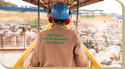 Animais 5