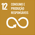 Ícone SDG