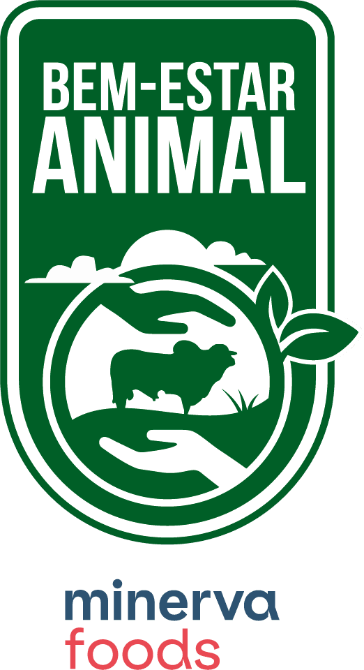 Imagem Gado