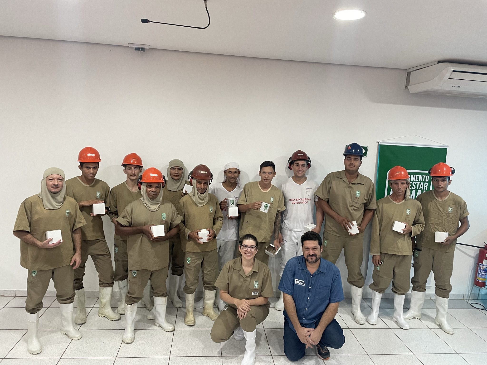 Treinamento 6