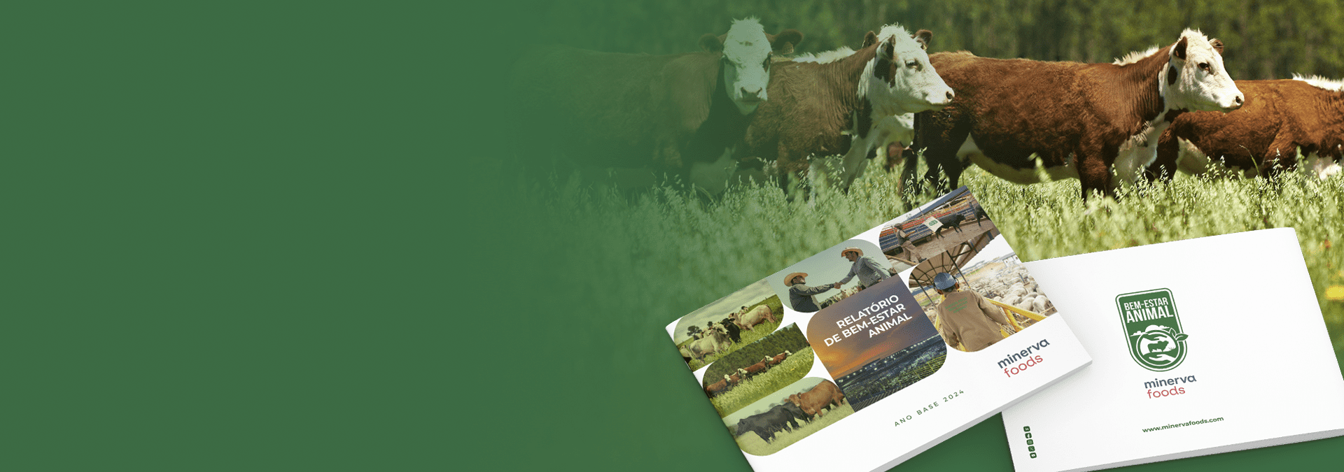 Check out our new
Animal Welfare
Report now
Discover how we are promoting animal welfare at every stage of our production chain.
 
Read the Full Report
