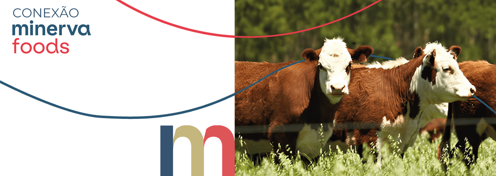 Banner Minerva Foods