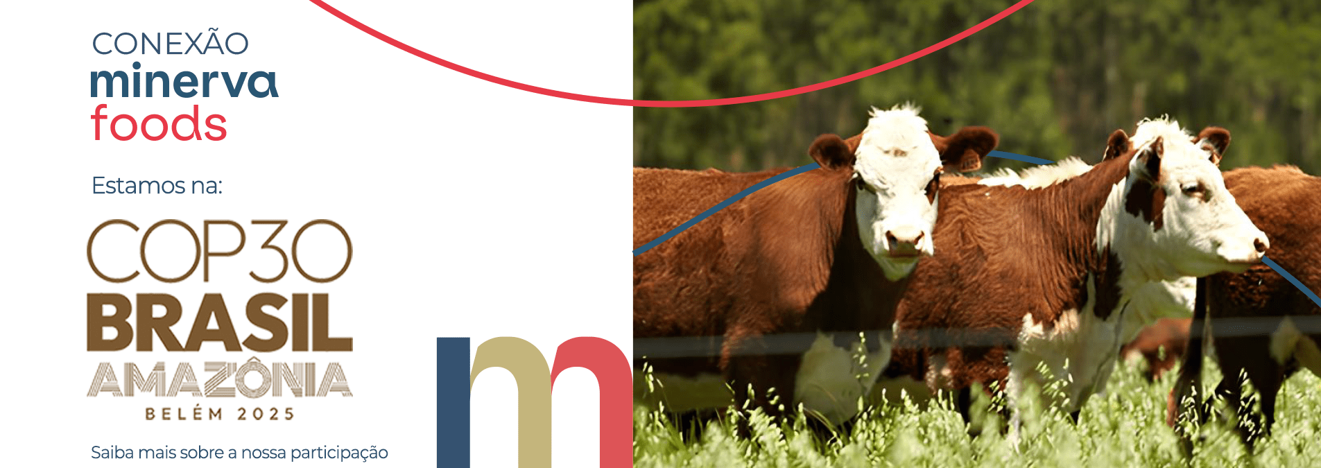 
  @media (max-width: 768px) {
    .botao-transparente {
      width: 90vw !important;
      height: 300px !important;
    }
  }


