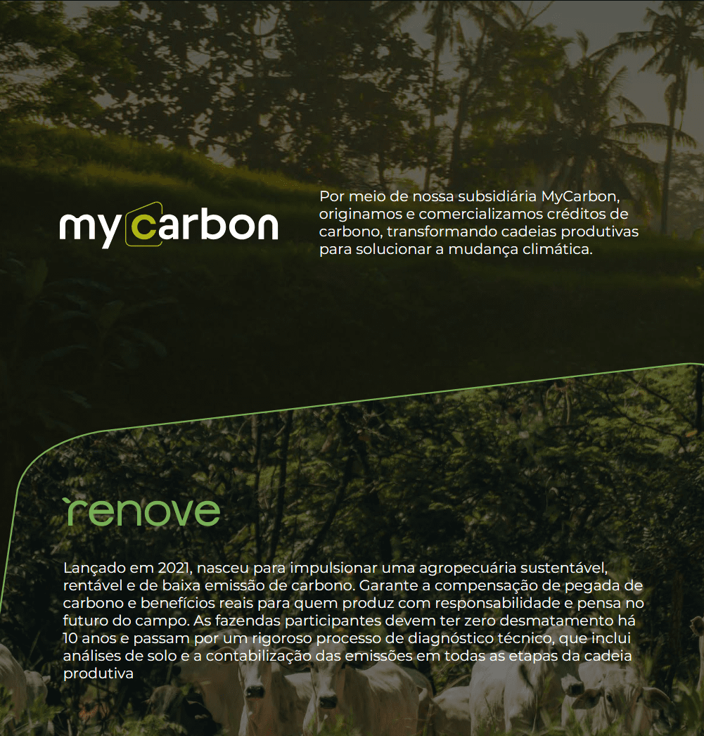 MyCarbon e Renove