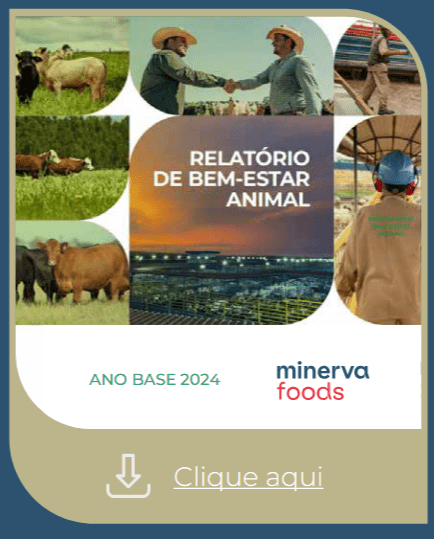 Relatório Anual de Compliance 2024