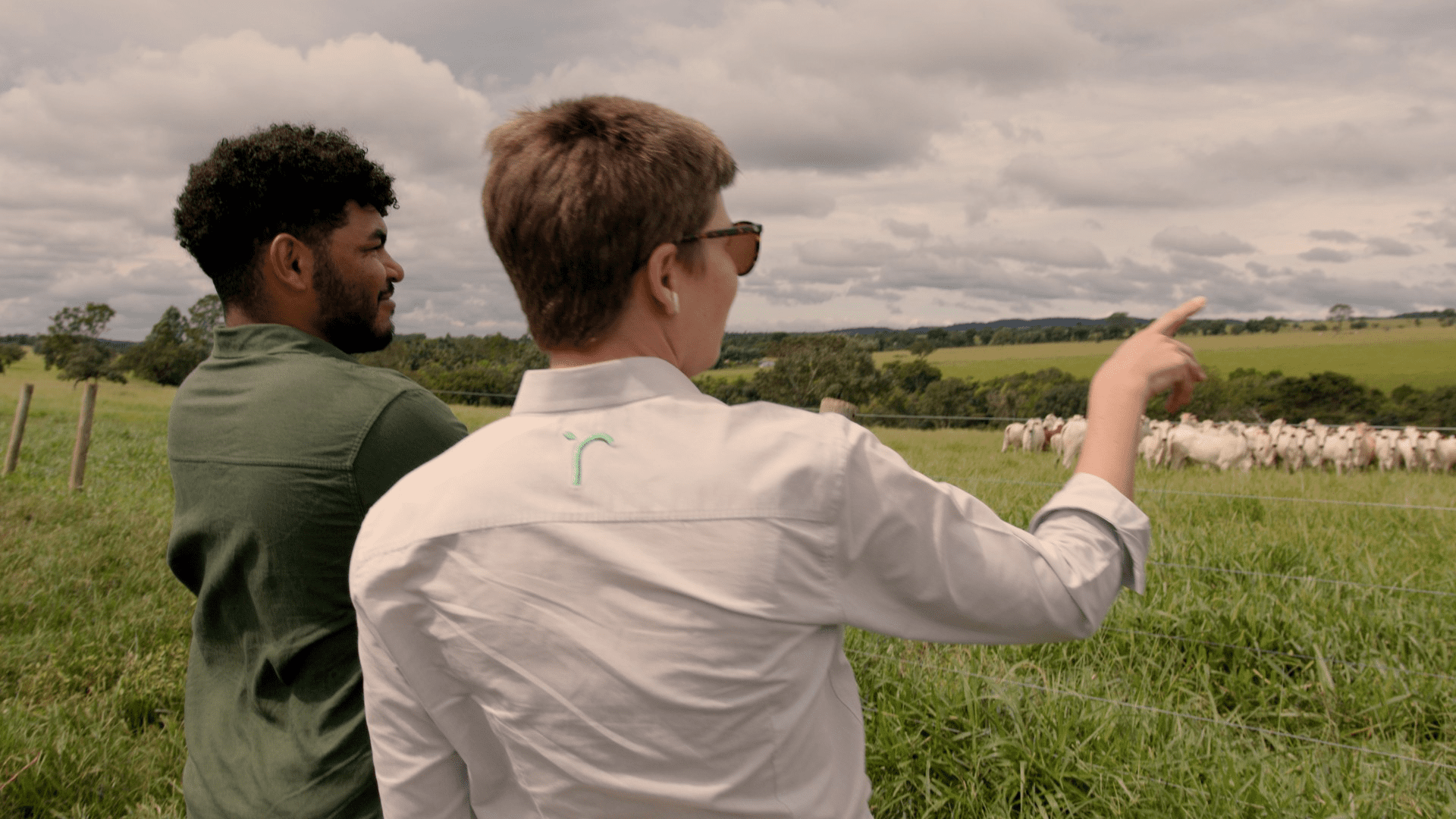 Do campo à mesa do consumidor