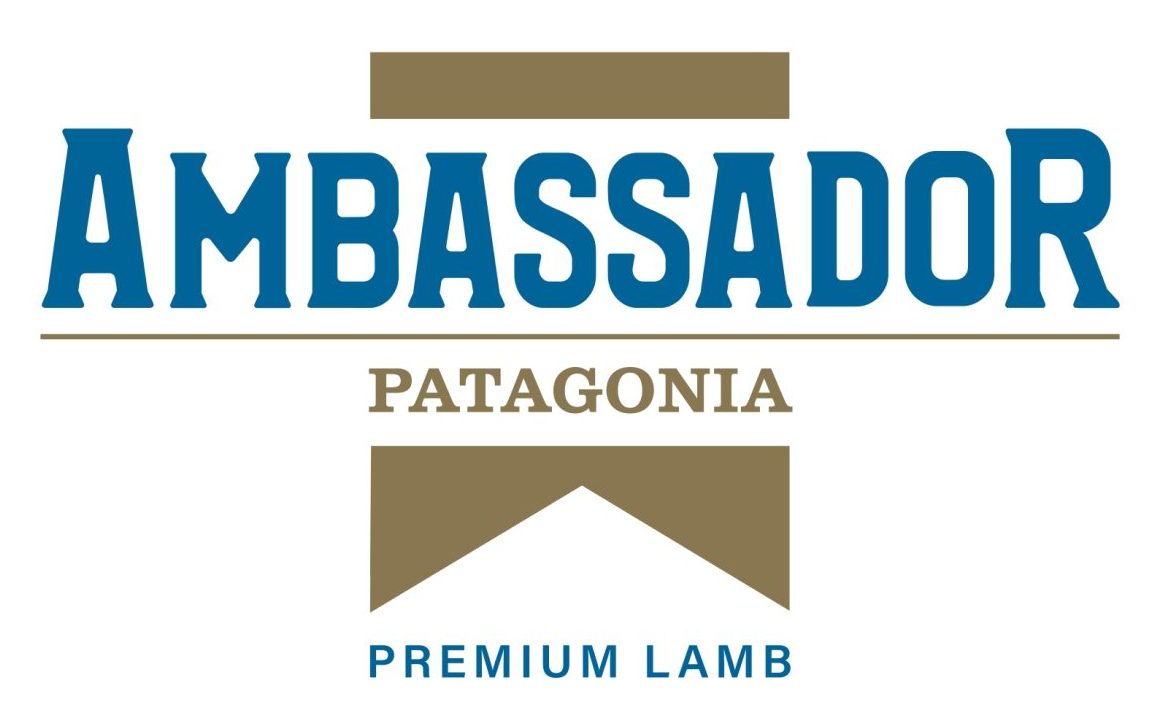 logo ambassador + patagônia_final_page-0001