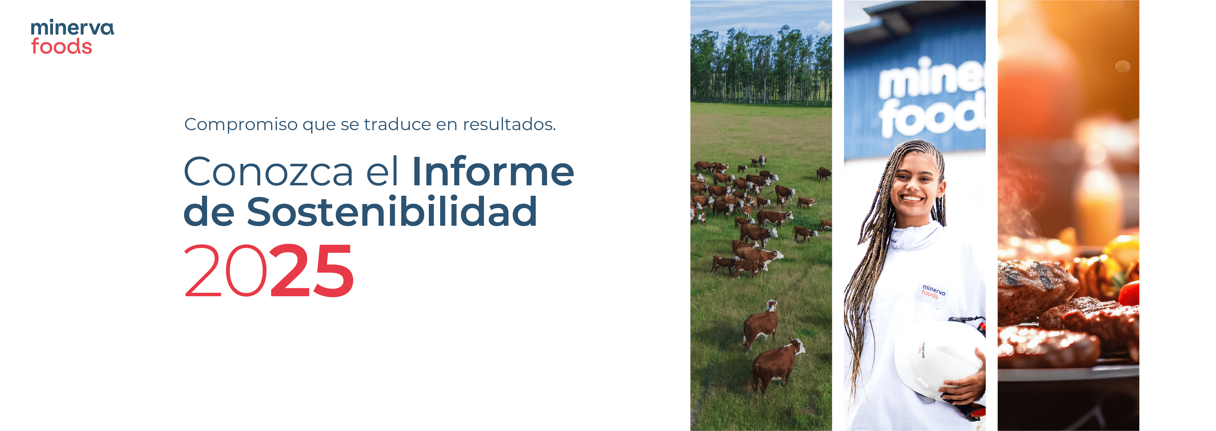
Accede

