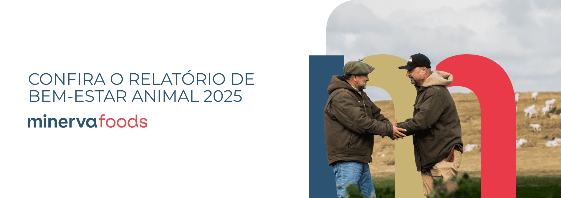 
Acesse

