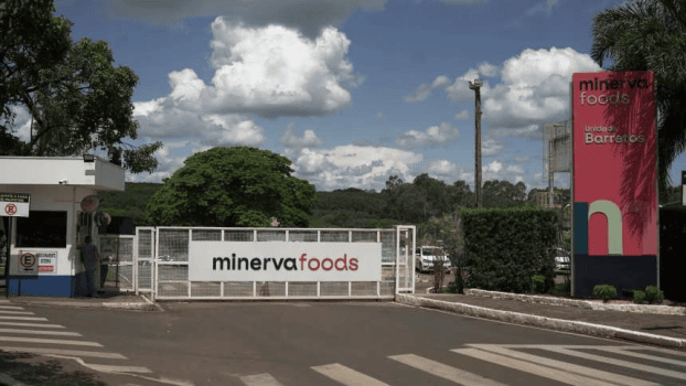 Lucro da Minerva sofre com alta da arroba do boi, mas receita cresce e bate R$ 13,4 bi no trimestre