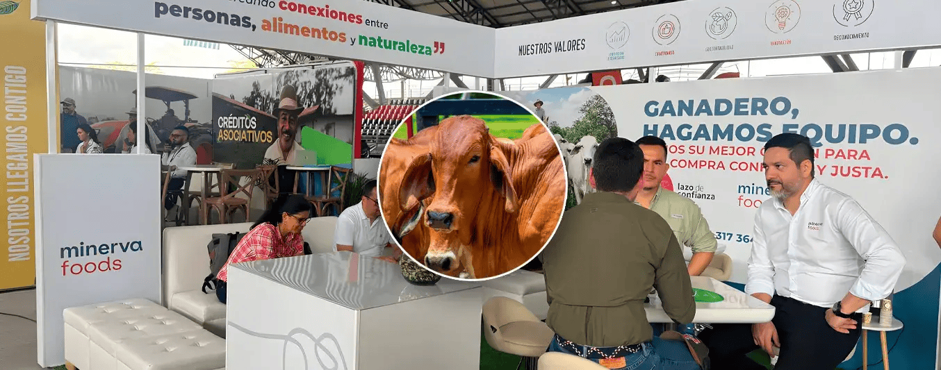 Minerva Foods lanza plan de alimentación para ayudar a los ganaderos a producir más carne